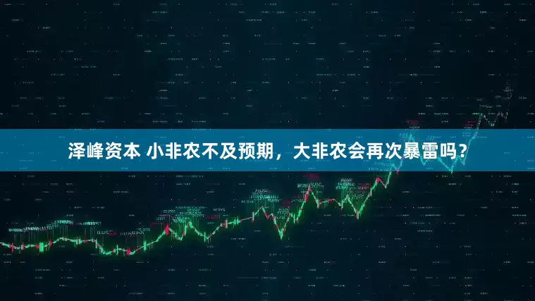 泽峰资本 小非农不及预期，大非农会再次暴雷吗？